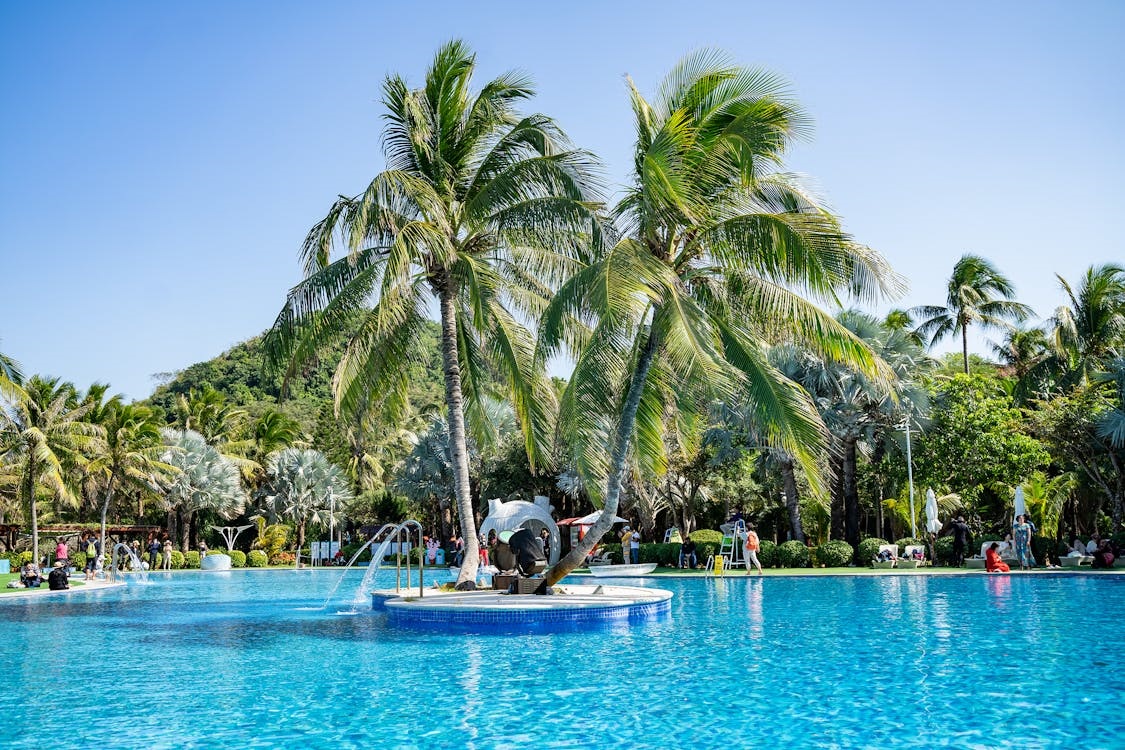 How to Get a Working Holiday Visa in Australia as a Student