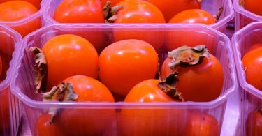 Food Packing Jobs in the UK with Visa Sponsorship